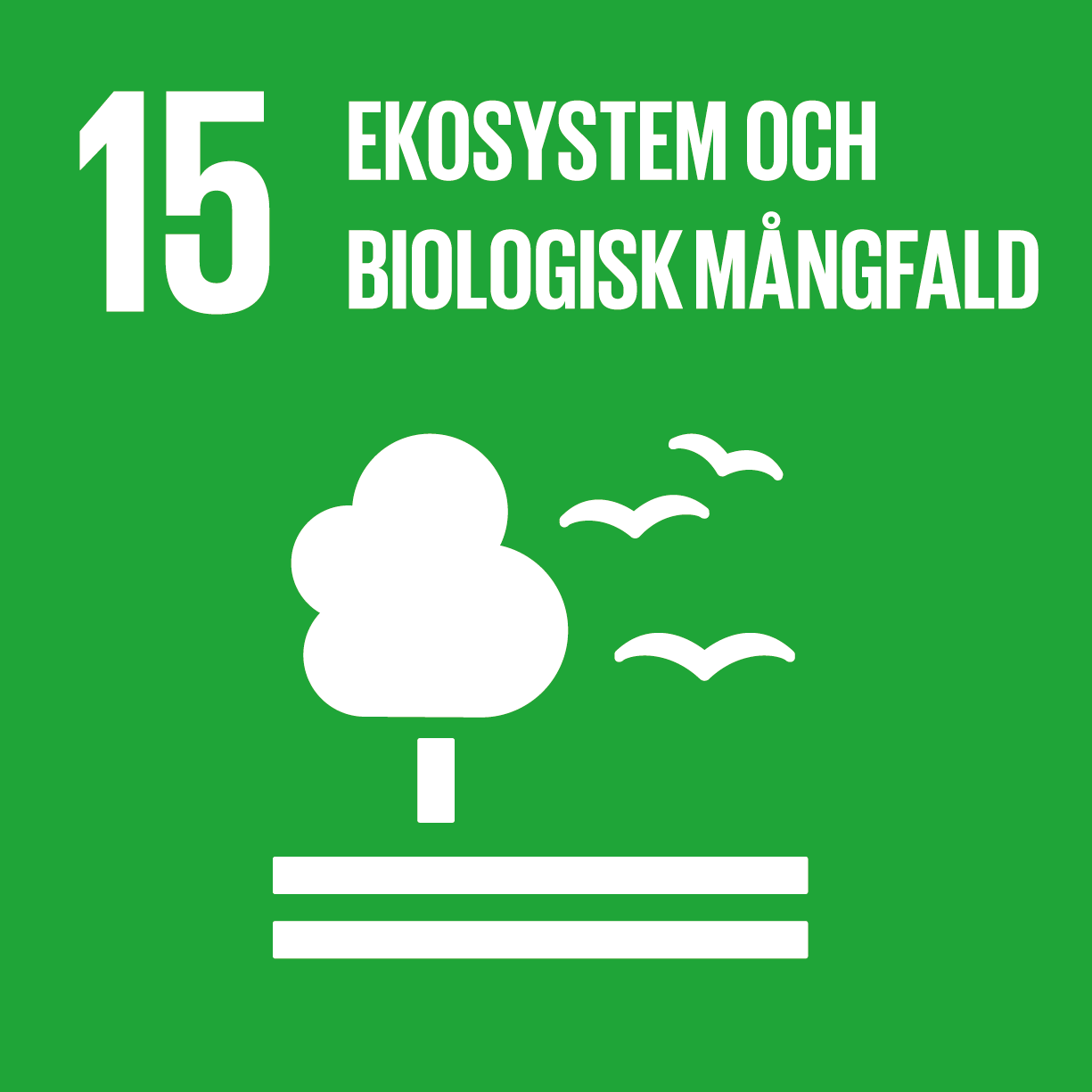 15 ekosystem